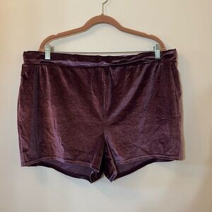 Torrid Velvet Shorts